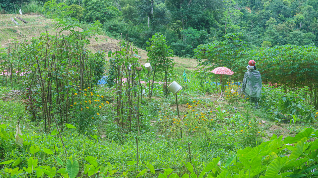 Eradicate Structural Exclusion with Equal Partnership