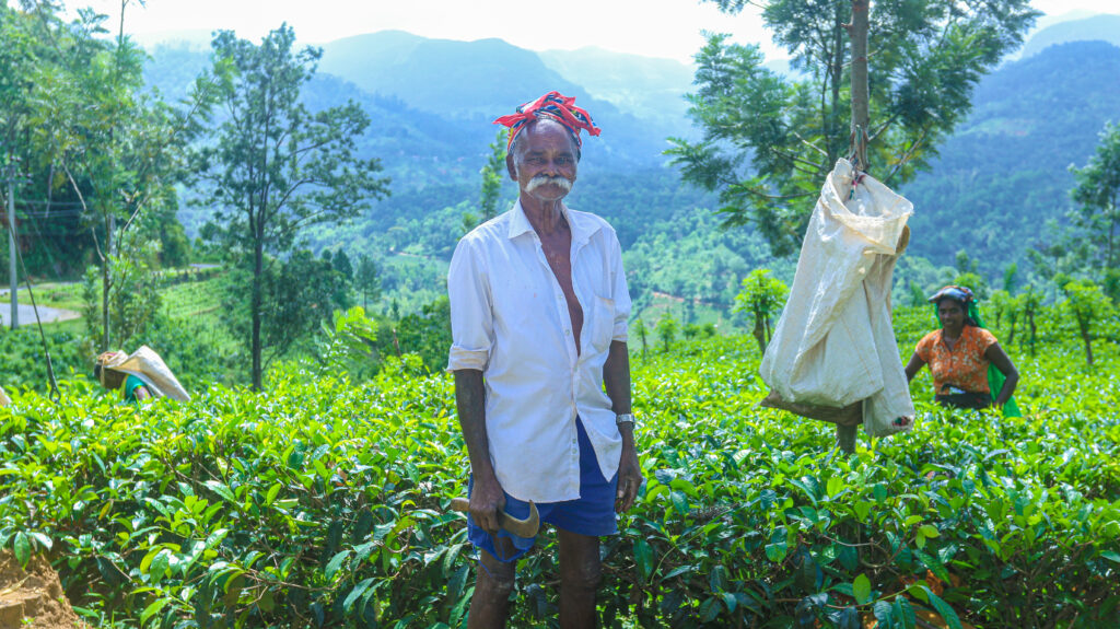 Eradicate Structural Exclusion with Equal Partnership