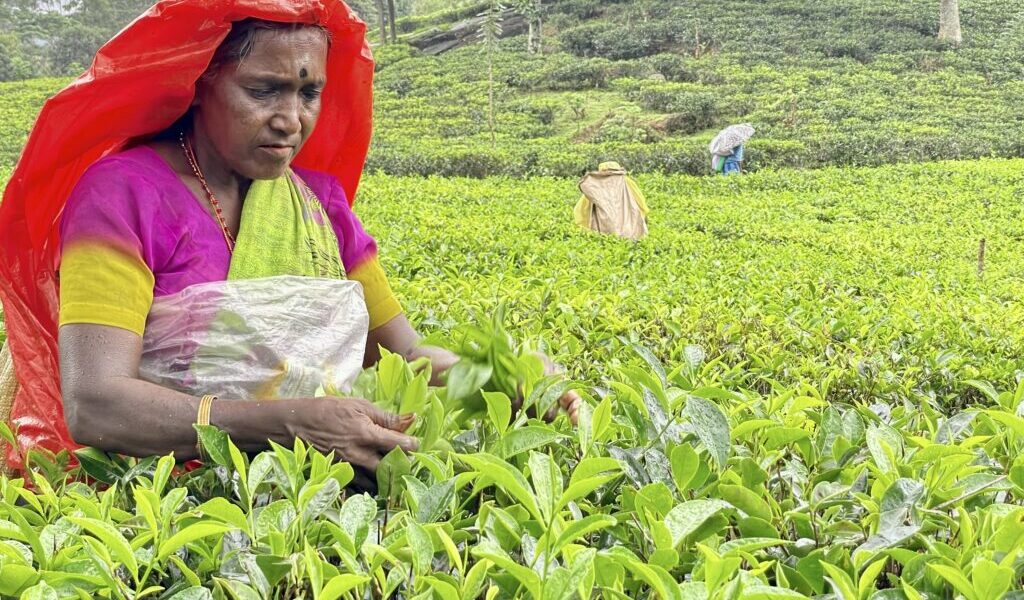 Developing Resources and Empowering Communities